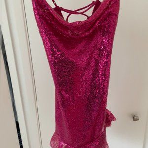 BRAND NEW Lucy in the Sky Pink Dress